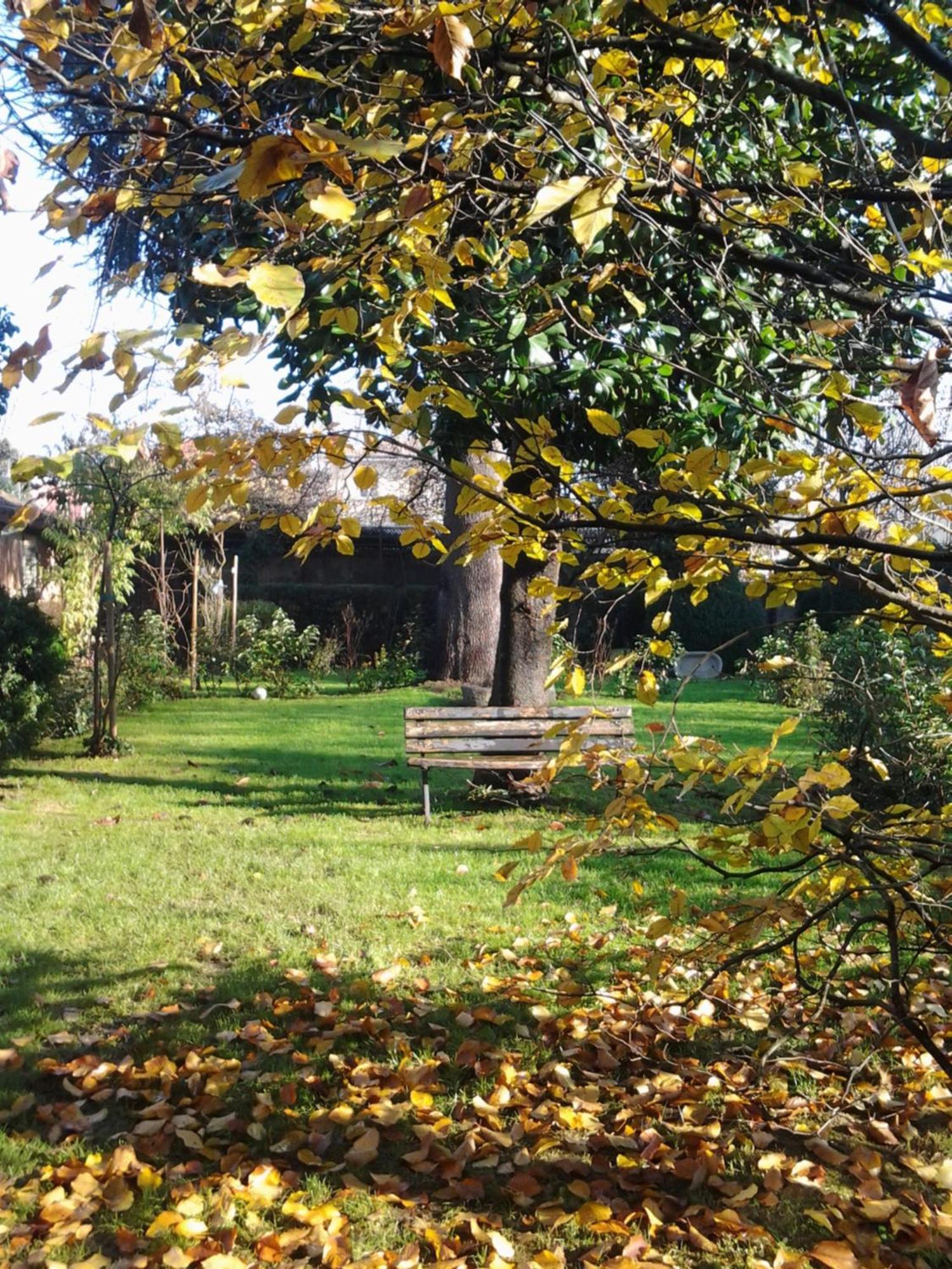 Il Pettirosso B&B Certosa di Pavia Dış mekan fotoğraf