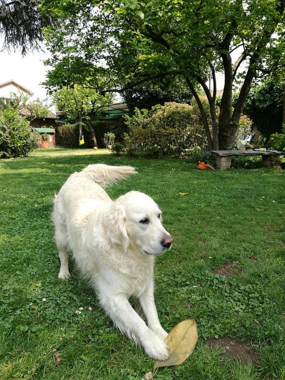 Il Pettirosso B&B Certosa di Pavia Dış mekan fotoğraf